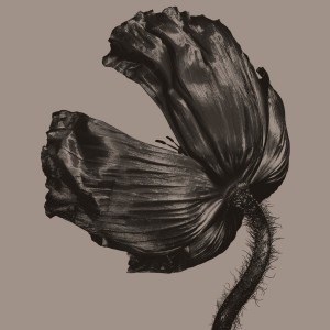 Pet Shop Boys - Release (2002) (Vinyl)