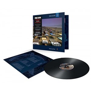 PINK FLOYD-A MOMENTARY LAPSE OF REASON (VINYL)