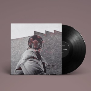 ALDOUS HARDING-WARM CHRIS (VINYL)