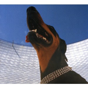 Overmono - Good Lies (2023) (CD)