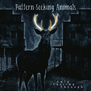 Pattern - Seeking Animals - Only Passing Through (2x Vinyl+CD)