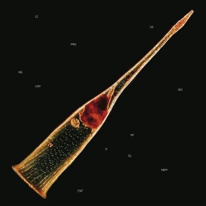 Leprous - Melodies of Atonement (2024) (2x Clear Red Vinyl)