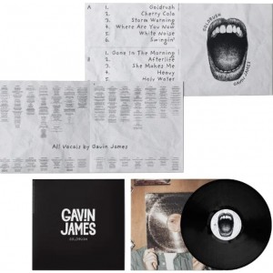 Gavin James - Goldrush (2025) (Vinyl)