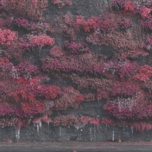 Sleep Token - Even In Arcadia (2025) (CD)