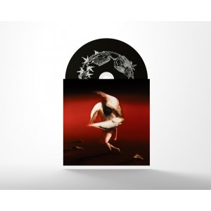 Maruja - Pain To Power (2025) (CD)