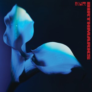 Bambara - Birthmarks (2025) (Red Vinyl)
