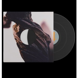 Pixies - The Night the Zombies Came (2024) (Vinyl)