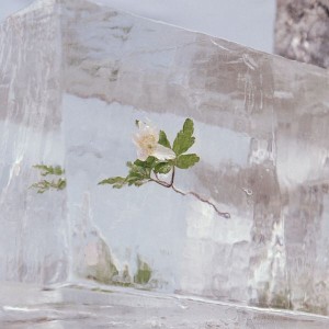 Efterklang - Windflowers (2021) (CD)
