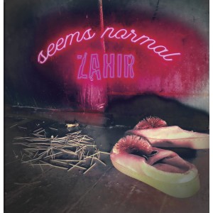 ZAHIR-SEEMS NORMAL (2022) (VINÜÜL)