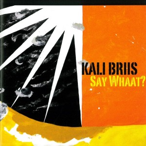 Kali Briis - Say Whaat? (2013) (CD)