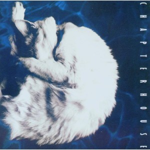 CHAPTERHOUSE-WHIRLPOOL (CD)