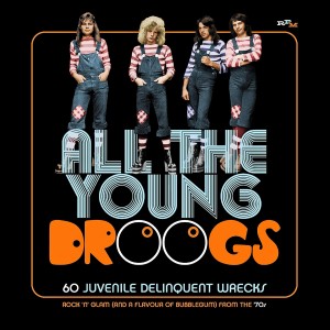 VARIOUS ARTISTS-ALL THE YOUNG DROOGS (CD)