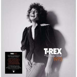 T. Rex - 1973: Whatever Happened To The Teenage Dream? (5x Orange Vinyl)