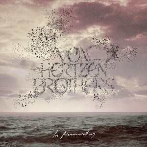 Von Hertzen Brothers - In Murmuration (2024) (Vinyl)