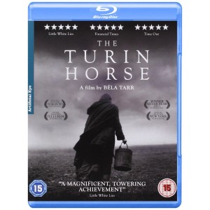 TURIN HORSE