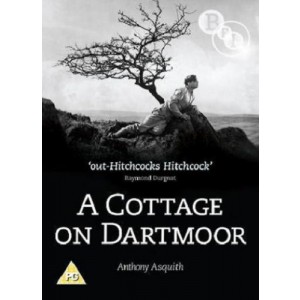 Cottage On Dartmoor