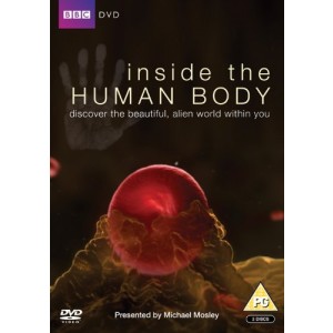 INSIDE THE HUMAN BODY