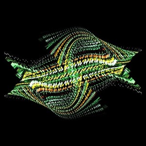 Bogus Order - Zen Brakes Vol. 2