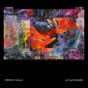 Bicep - Chroma 000 (2026) (2x 12-inch)