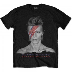 David Bowie Unisex T-Shirt: Aladdin Sane (Black) (X-Large)
