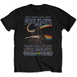 Pink Floyd Unisex T-Shirt: Assorted Lunatics (Black) (Medium)