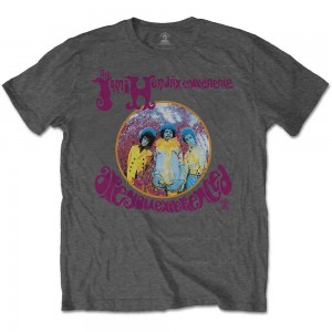 Jimi Hendrix Unisex T-Shirt: Are You Experienced (Grey) (X-Large)