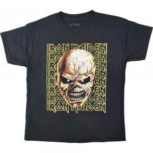 Iron Maiden Kids T-Shirt: Big Trooper Head (Black) (9-10 Years)