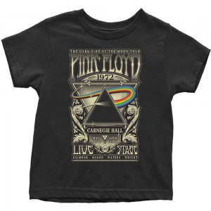 Pink Floyd Kids Toddler T-Shirt: Carnegie Hall Poster (Black) (3 Years)