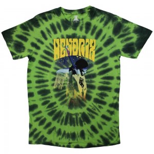 Jimi Hendrix Unisex T-Shirt: Hear The Vibe (Green) (Wash Collection) (X-Large)