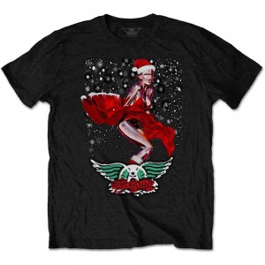 Aerosmith Unisex T-Shirt: Robo Santa (Black) (Small)