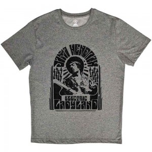 Jimi Hendrix Unisex T-Shirt: Electric Ladyland Mono (Grey) (Small)