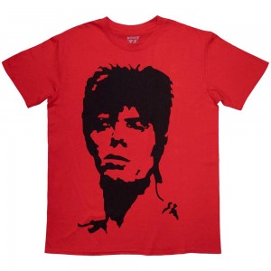 David Bowie Unisex T-Shirt: 1973 Monochrome (Red) (Small)