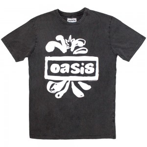 Oasis Unisex Stone Wash T-Shirt: Logo Splat (Charcoal Grey) (Small)