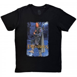Lord Of The Rings Unisex T-Shirt: Aragon Standing Homage (Black) (Medium)