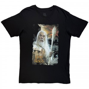 Lord Of The Rings Unisex T-Shirt: Gandalf The White Homage (Black) (XX-Large)