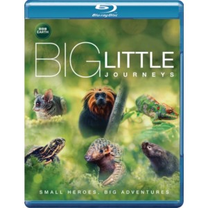 Big Little Journeys (Blu-ray)