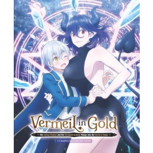 Vermeil in Gold: Complete Collection (2022) (Collector´s Edition) (2x Blu-ray)