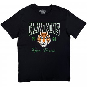 Stranger Things Unisex T-Shirt: High School Hawkins (Black) (XX-Large)