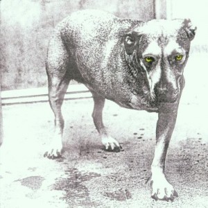 ALICE IN CHAINS-ALICE IN CHAINS (CD)