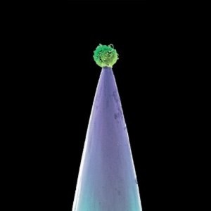 Peter Gabriel - New Blood (CD)