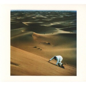 Baxter Dury - Prince Of Tears (2017) (CD)