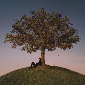 SLOWTHAI-TYRON (VINYL)