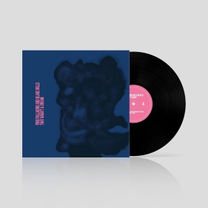 Pino Palladino, Blake Mills - That Wasn´t A Dream (2025) (Vinyl)