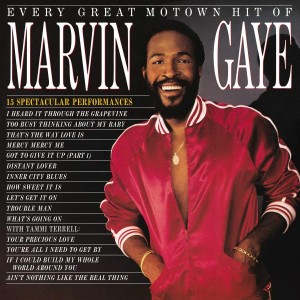 MARVIN GAYE-EVERY GREAT MOTOWN HIT OF MARVIN GAYE: 15 SPECTACULAR PERFORMANCES