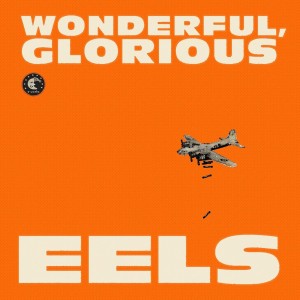 EELS-WONDERFUL GLORIOUS (CD)