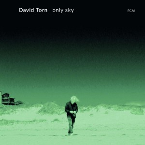 DAVID TORN-ONLY SKY (2015) (CD)