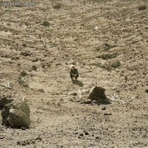 BEN HOWARD-NOONDAY DREAM (DLX VINYL)
