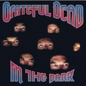 GRATEFUL DEAD-IN THE DARK (VINYL)