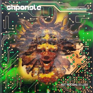 SHPONGLE-NOTHING LASTS BUT NOTHING IS LOST (REMASTERED VINYL)