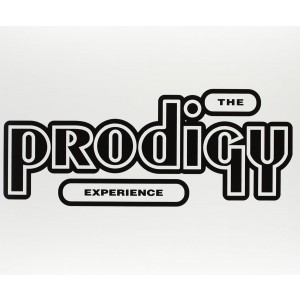 Prodigy - Experience (1992) (2x Vinyl)
